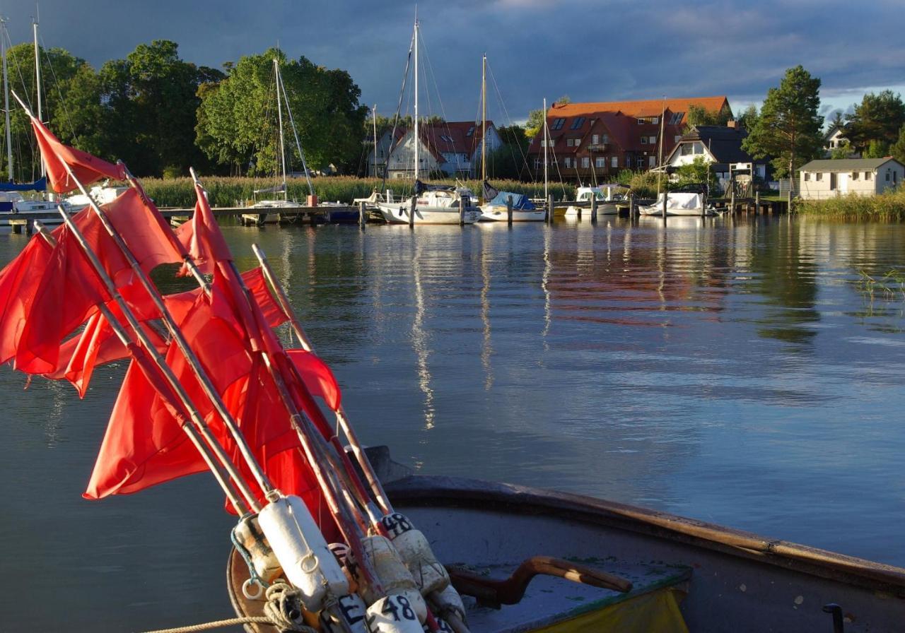 Ziemitz Haus Carmen Auf Usedom Nr.6 아파트 외부 사진